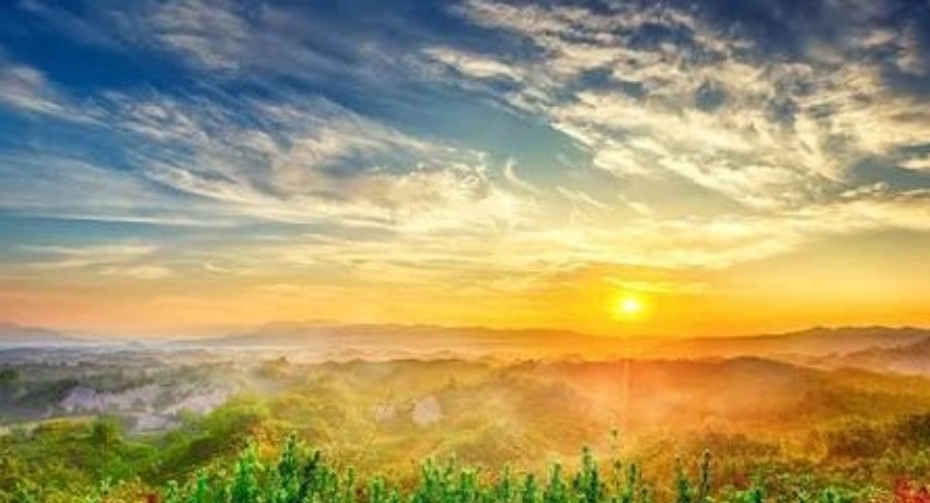 项目进度云 - 抖音官网网页版入口 - 定制项目全流程可视化追踪区
